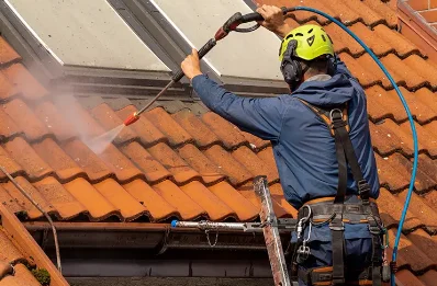 Démoussage et hydrofuge de toiture à Renaison
